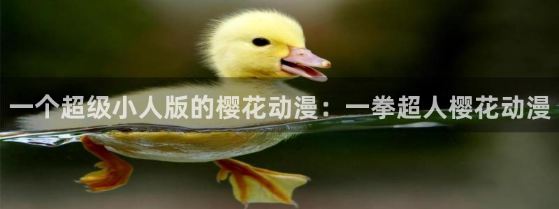 漫岛动漫手机官网